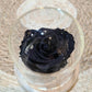 Rose Eternelle sous cloche gros bouton de couleur noire