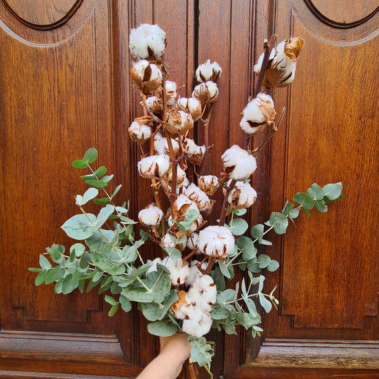 Bouquet de fleurs de cotons avec eucalyptus